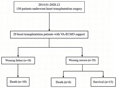 Veno-Arterial Extracorporeal Membrane Oxygenation for Patients Undergoing Heart Transplantation: A 7-Year Experience